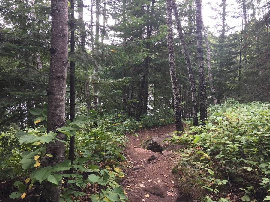 Campsite on Eagle Mountain Trail